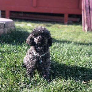 Meet your Posher, Andrea